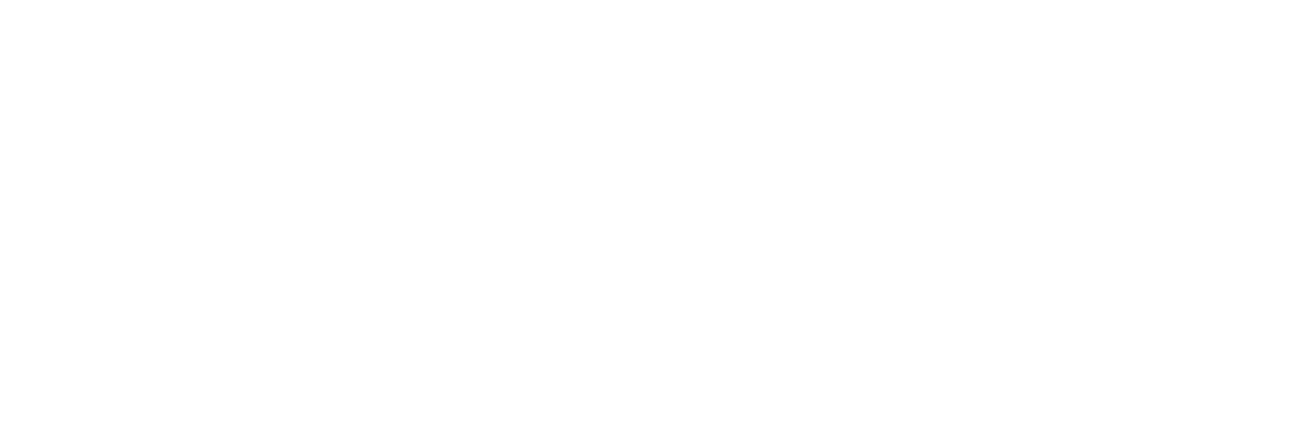 Digitech_White